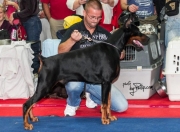 OBI WAN-KENOBI DE GRANDE VINKO