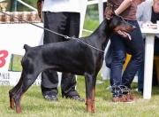 XENIA FOR BETELGES DEL NASI